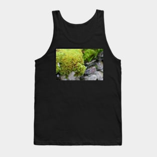 Lakes: moss and wall Tank Top